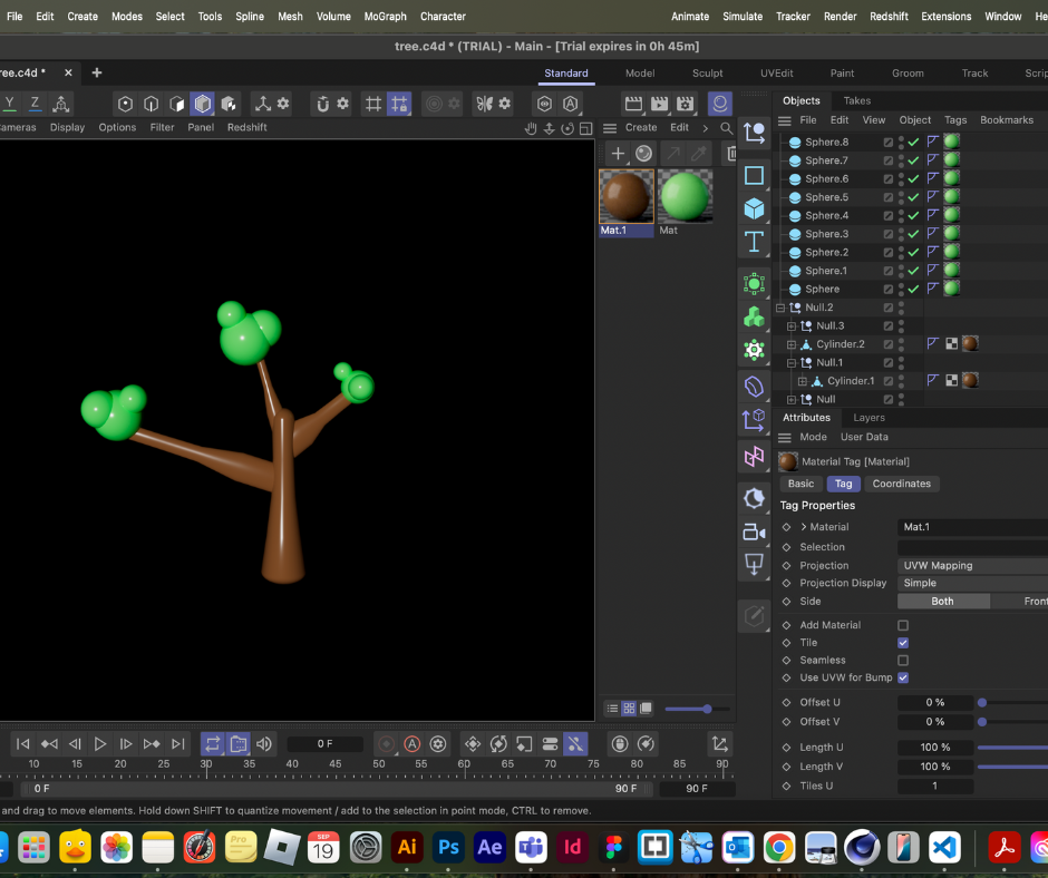 This is a simple tree model I built while following the tutorial. I learned how to use the Null tool. I made the trunk and branches with cylinders, and I used spheres for the leaves.