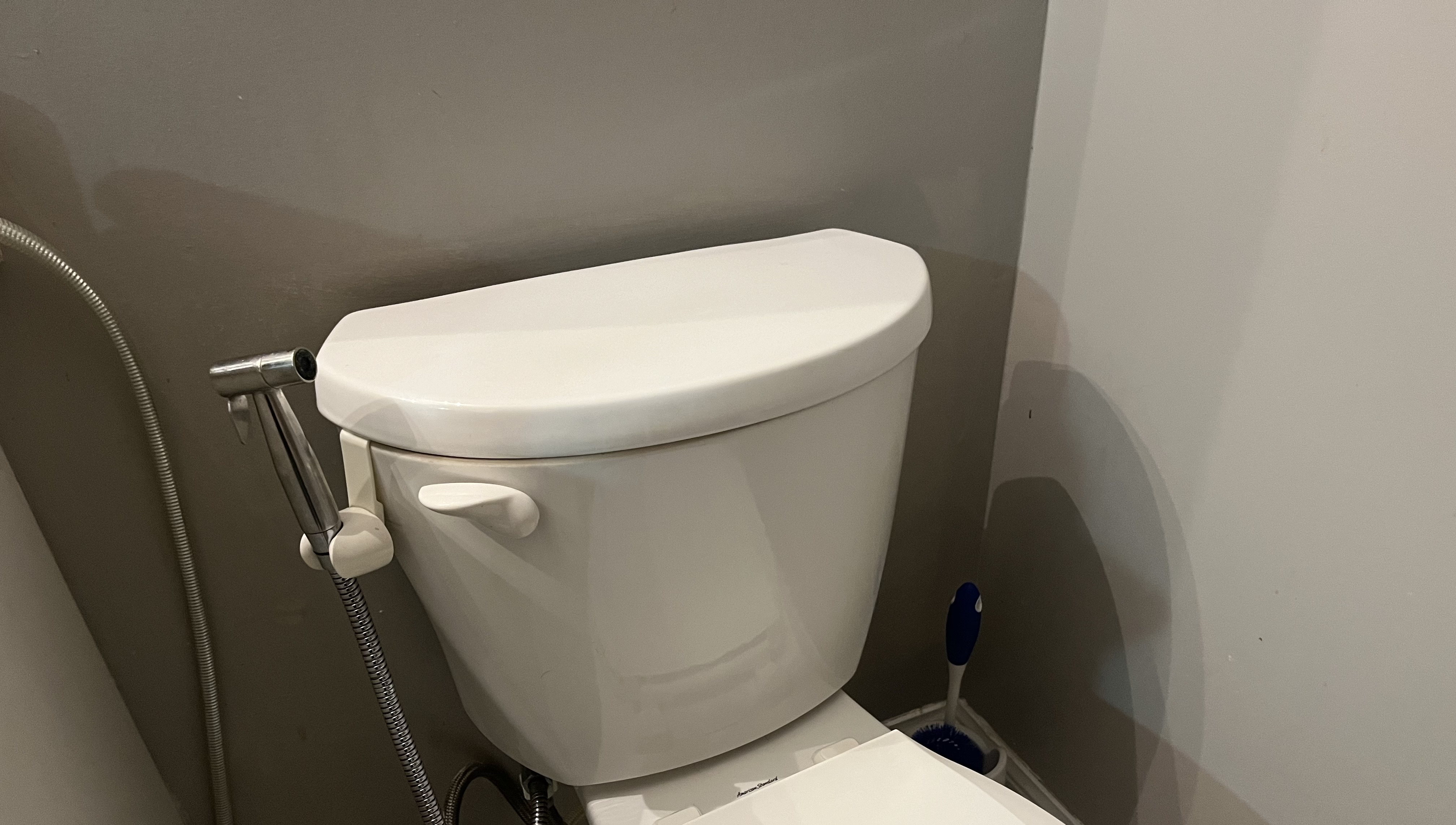 This is the sound of the toilet being flushed, starting with a quick handle click followed by a loud rush of water swirling and draining, gradually fading as the tank refills with a steady, quieter flow.